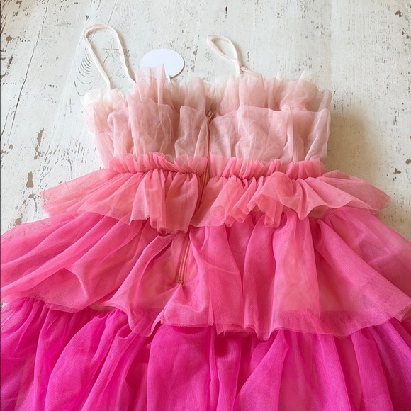 Storia Ombre Ruffle Tulle Dress in Pink and Purple - Picture 3 of 3